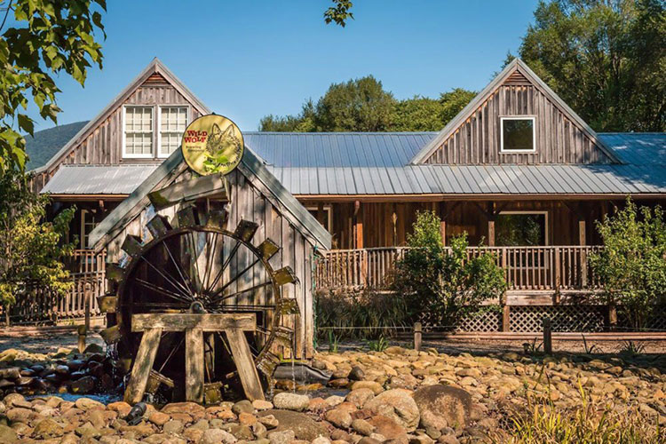 Wild Wolf Brewing Company Nelson 151