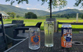 View at Blue Toad Hard Cider