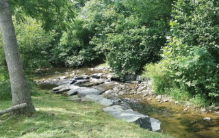 creek at Blue Toad Hard Cider