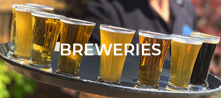 Breweries on Nelson 151